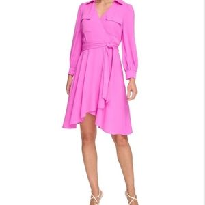 DKNY Pink Women's Long Sleeve Collar Solid Fit and Flare Dress with Pockets